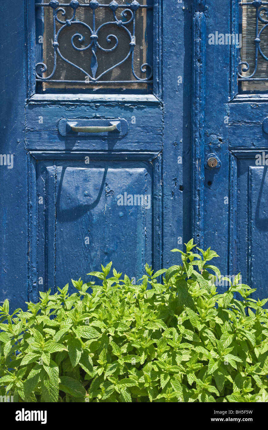 Mint crescente nei confronti di un vecchio blu porta in Grecia Foto Stock
