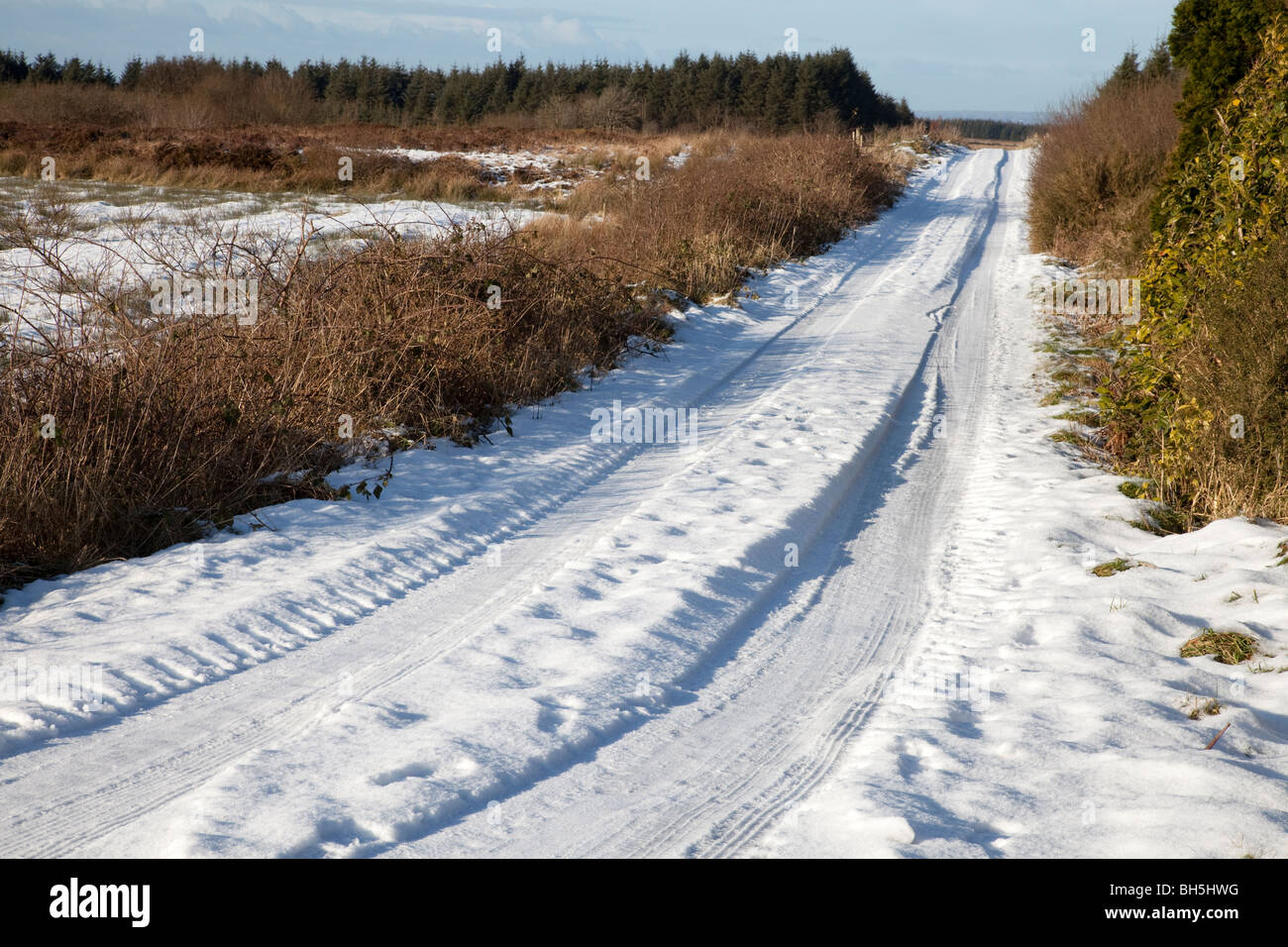 Paesaggio invernale, Irlanda Foto Stock