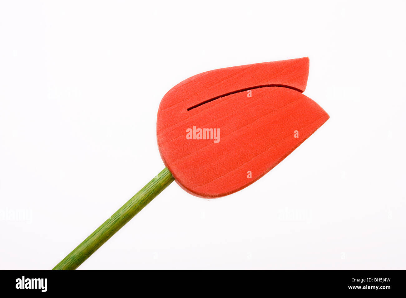 Imitazione di legno rosso Tulip isolata contro uno sfondo bianco. Foto Stock