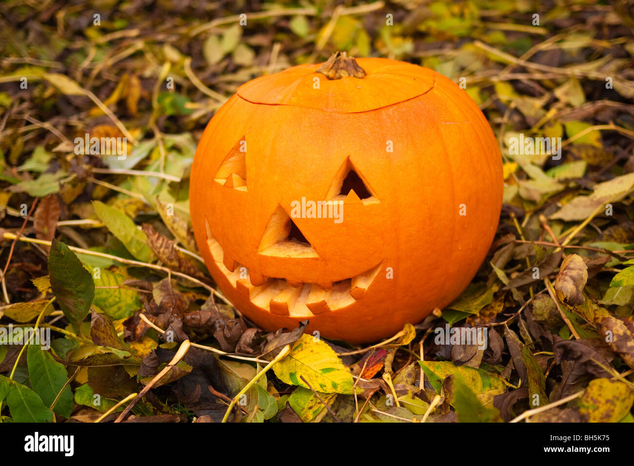 Tradizionali di Halloween Jack O' lanterna Foto Stock