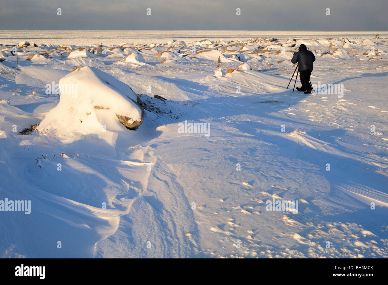 Inverno fotografia, Churchill, Manitoba Foto Stock