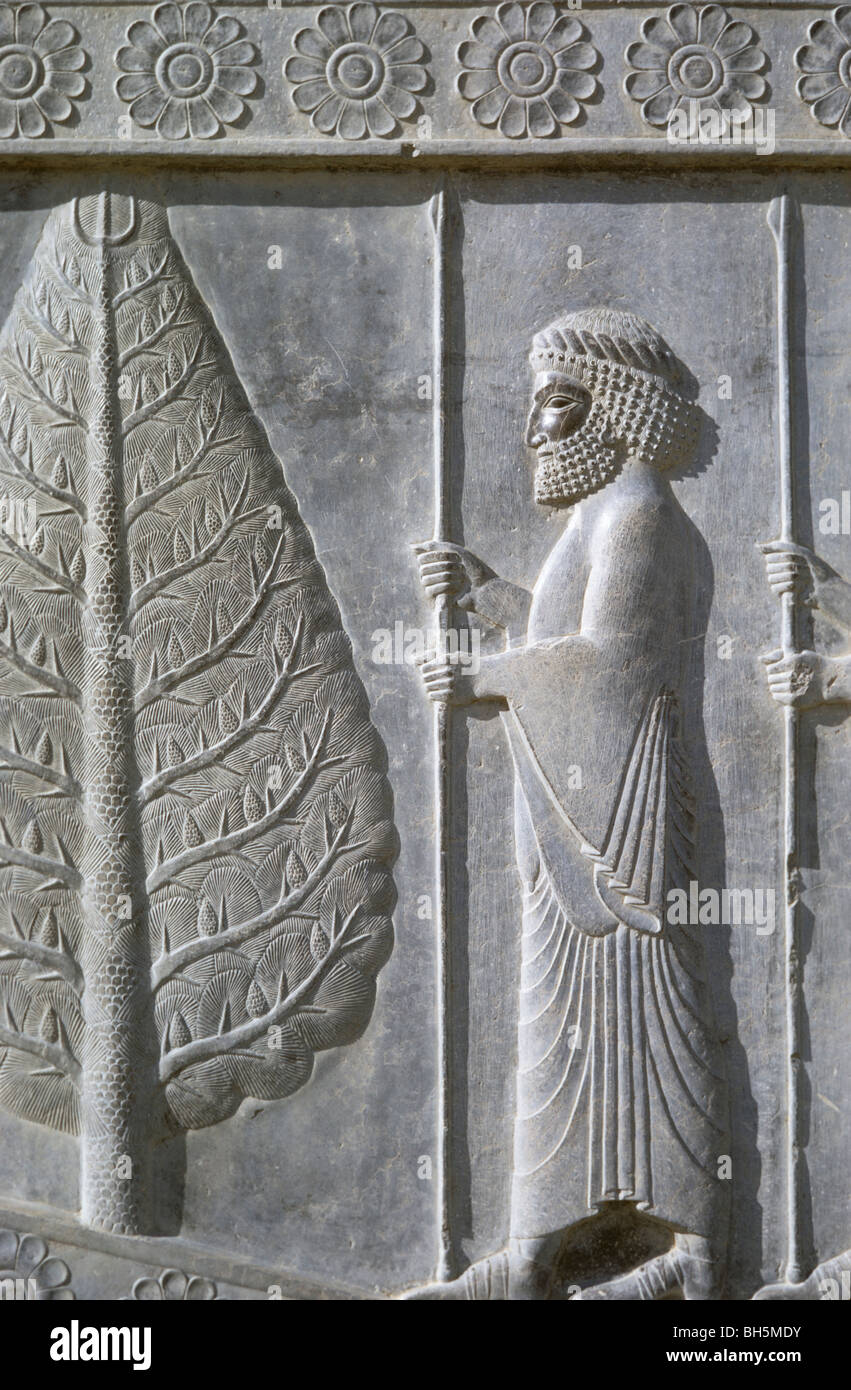 La scala della Apadana, Susian immortale, Persepolis, Iran 690125 109 Foto Stock
