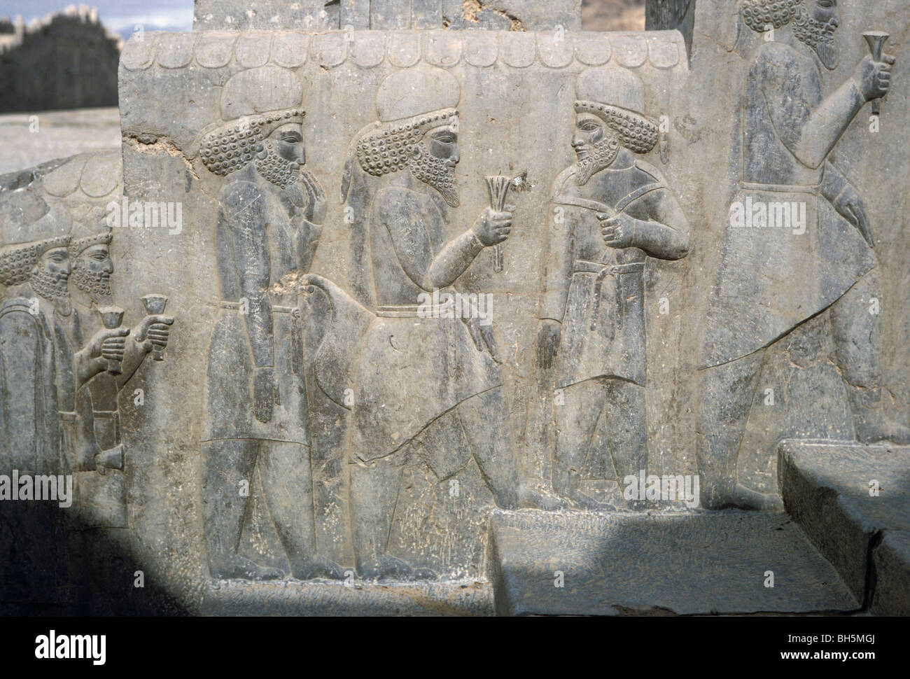 Mede nobili che trasportano fiori di loto come un segno di fedeltà, palazzo centrale, Persepolis, Iran 690125 205 Foto Stock