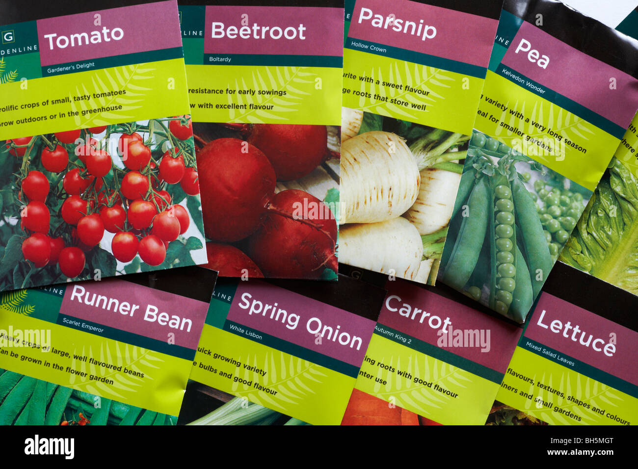 Pacchetti di semi vegetali: Pomodoro, pastinaca, barbabietola, pisello, lattuga, fagiolo di runner, carota, cipolla di primavera Foto Stock