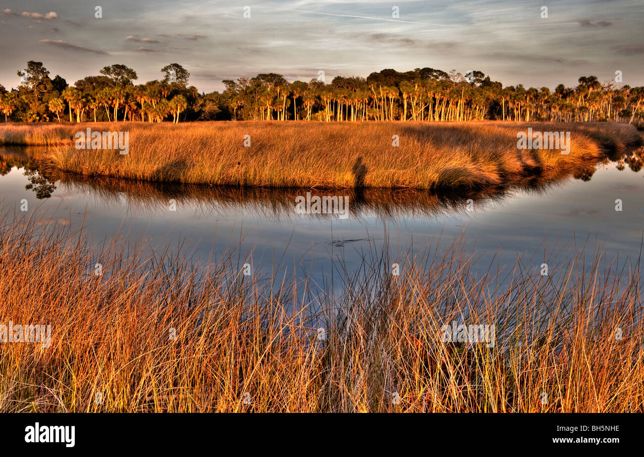 Di sera, la palude di acqua salata, Hernando County, Florida Foto Stock