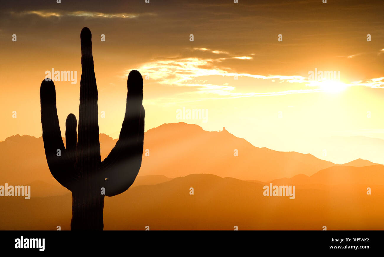 Montagne e un cactus Saguaro a sud-ovest di Tucson compresi Kitt Peak e l'Osservatorio Kitt Peak al tramonto. Foto Stock