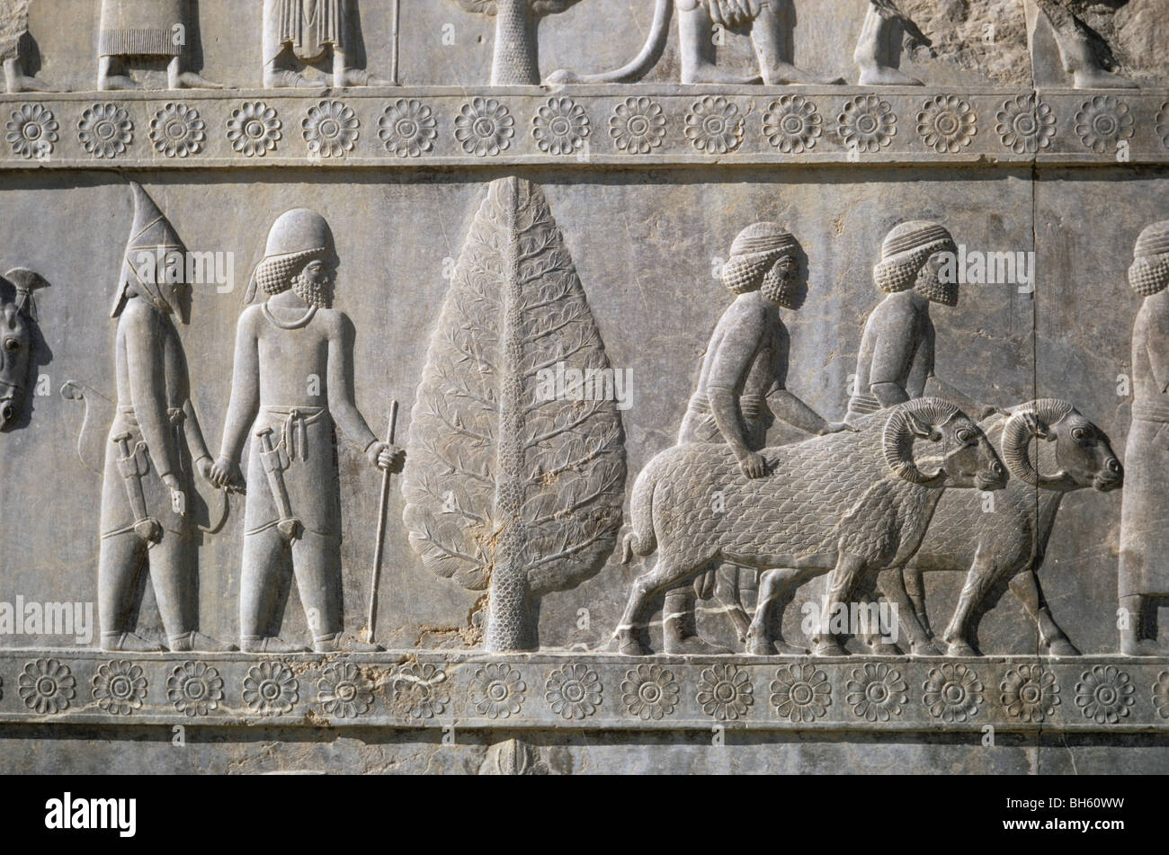 Oriente sulla scalinata del Apadana, lidi con cappuccio appuntito e guida, Cilicians con arieti, Persepolis, Iran 690125 102 Foto Stock
