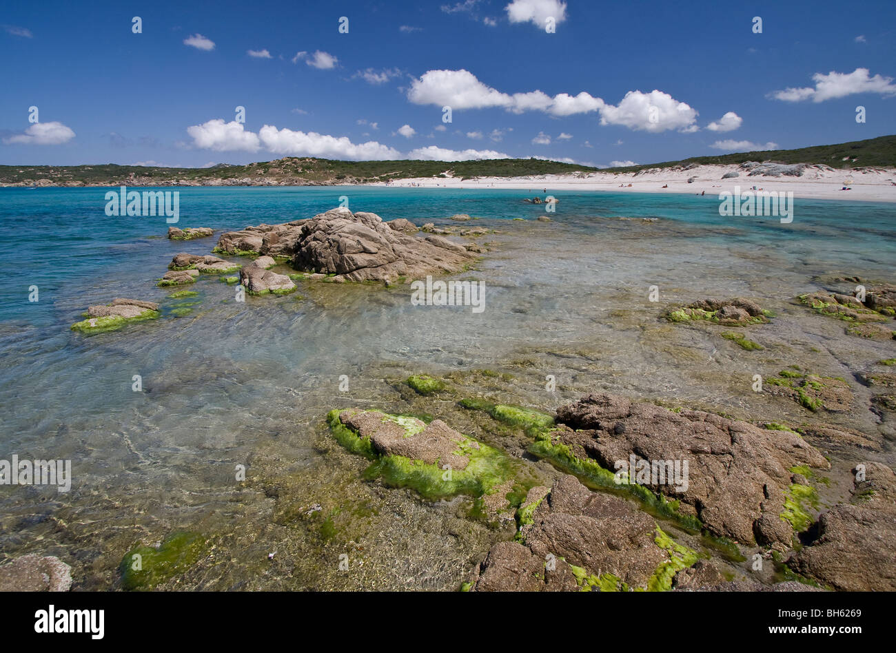 Blu chiaro in acqua Rena Maiore Spiaggia, mare Mediterraneo. Sardegna, Italia Foto Stock