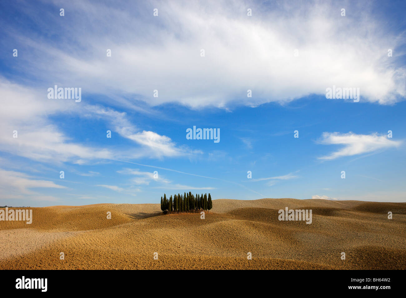 Val d'Orcia in Autunno Foto Stock