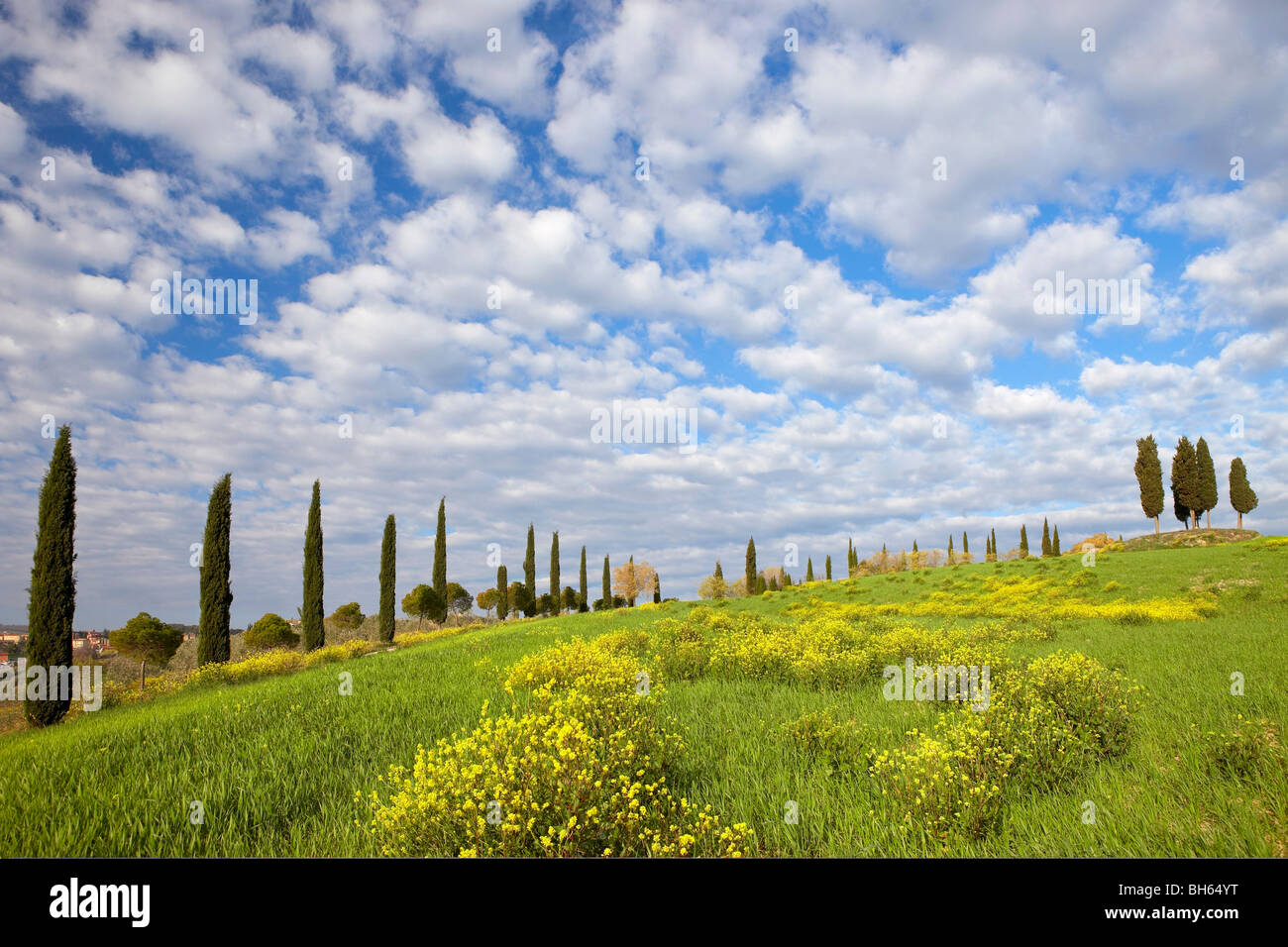 Val d'Orcia in primavera Foto Stock