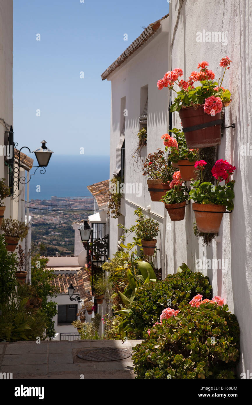 Calle flores pueblo blanco de Mijas Costa del Sol Málaga Andalucía España Street fiori bianco villaggio mijas Andalusia Spagna Foto Stock