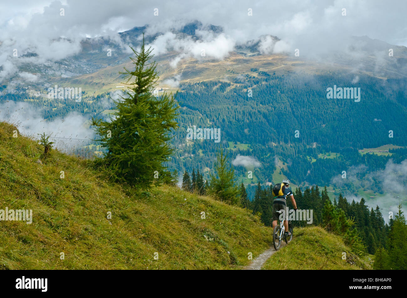 Mountain-biker su singletrack Alpine alto sopra di Davos, Grigioni, Svizzera Foto Stock