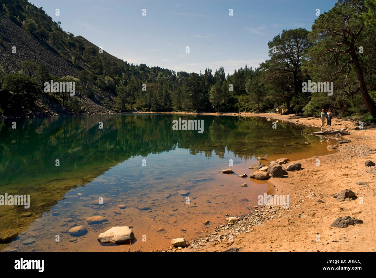 Lochan Uaine, il verde Loch, nella foresta di Glenmore ,nel Parco Nazionale di Cairngorms, vicino a Aviemore, Inverness-shire. Foto Stock