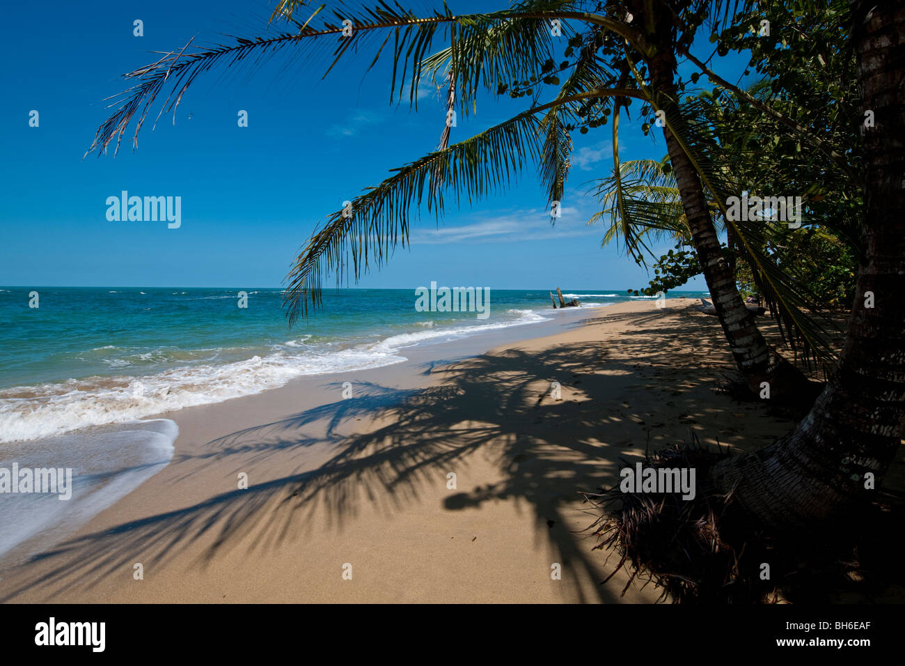 L'idilliaco paradiso spiaggia di Punta Uva vicino a Puerto Viejo de Talamanca in Limón Provincia, a sud est della Costa Rica Foto Stock