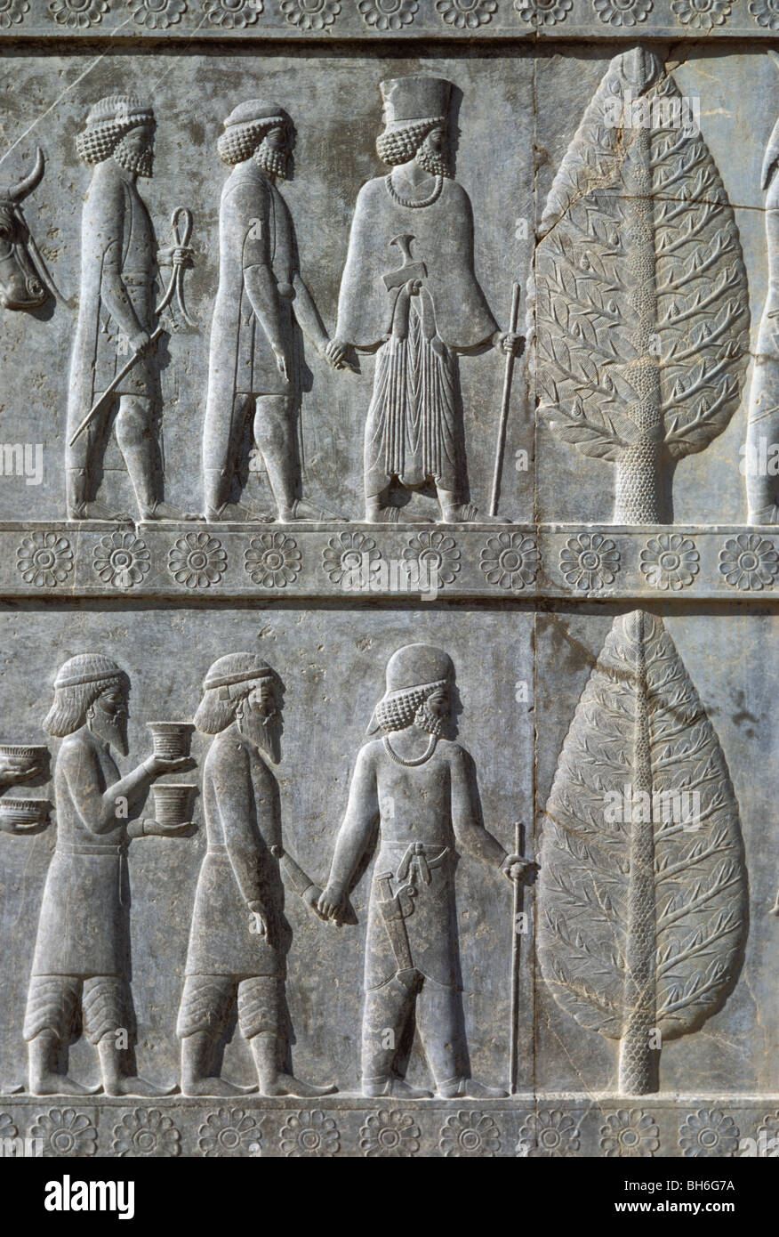 Oriente sulla scalinata del Apadana, persiano portando gli Assiri, Mede portando gli afgani o Bractrians, Persepolis, Iran 690125 038 Foto Stock