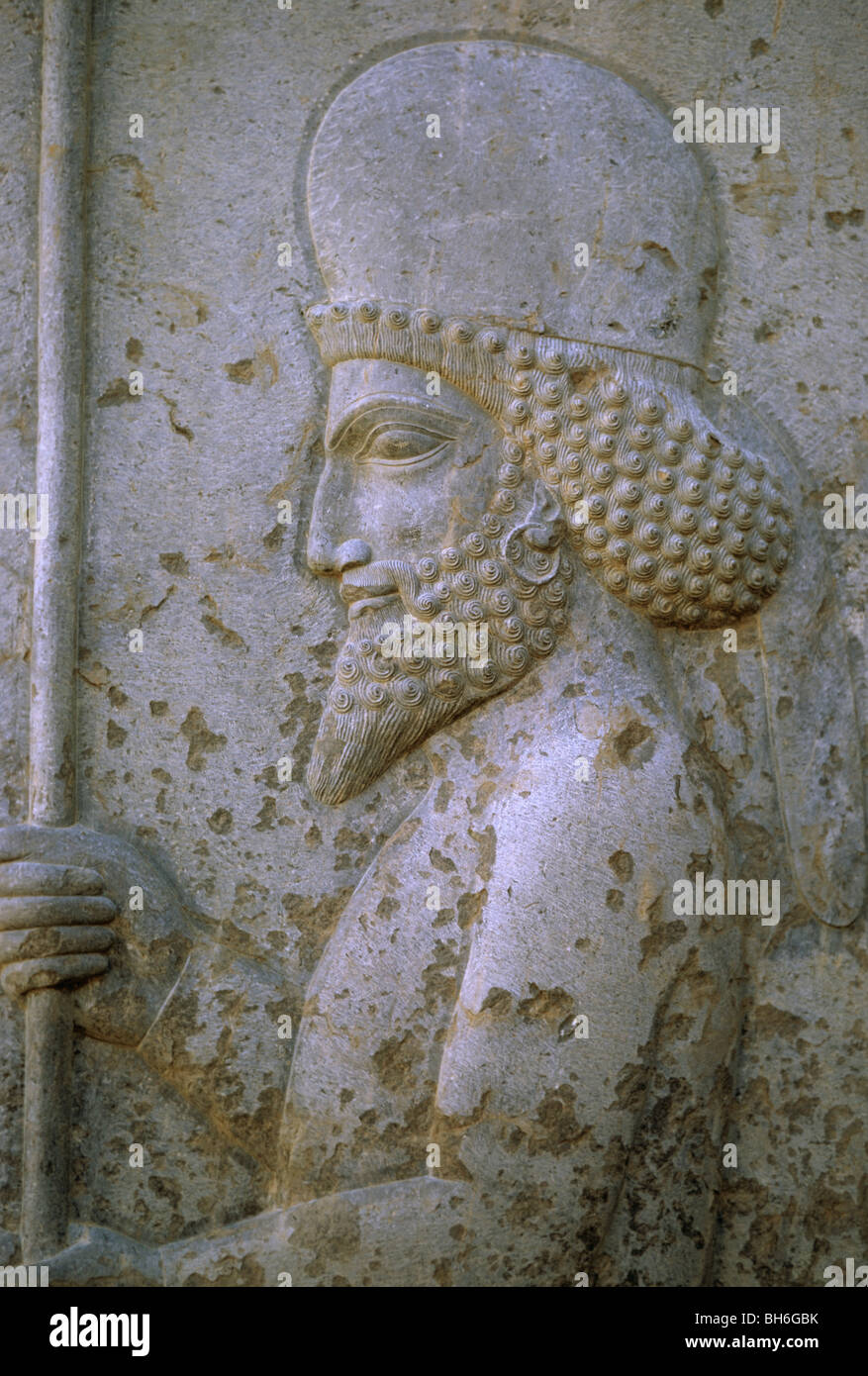 Dettaglio di Mede guerriero con orecchini e lancia, palazzo centrale, Persepolis, Iran 690125 118 Foto Stock