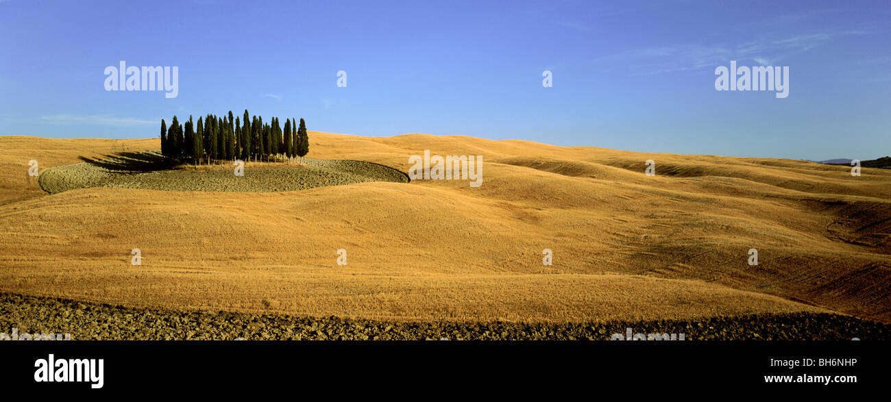 Val d'Orcia in estate Foto Stock