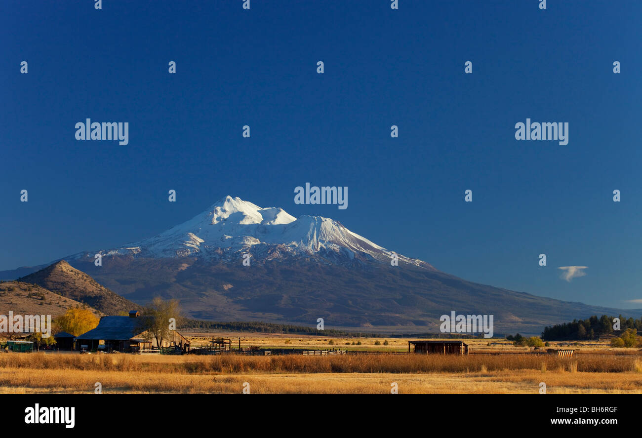 Mount Shasta picco nella California del nord Foto Stock