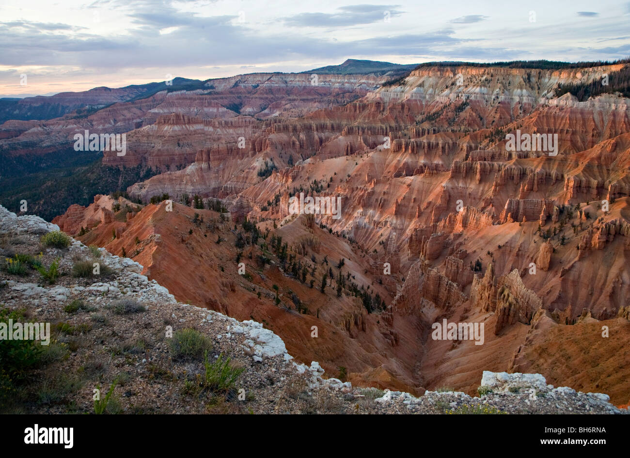 Vista di rotture del cedro anfiteatro dal punto Supreme in Cedar Breaks National Monument, Utah Foto Stock