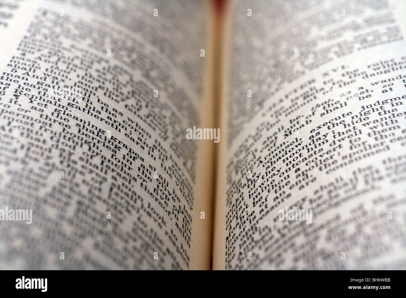 Bibbia Miniaturizzata 1/12 Per Case Delle Bambole - Libro Tascabile In