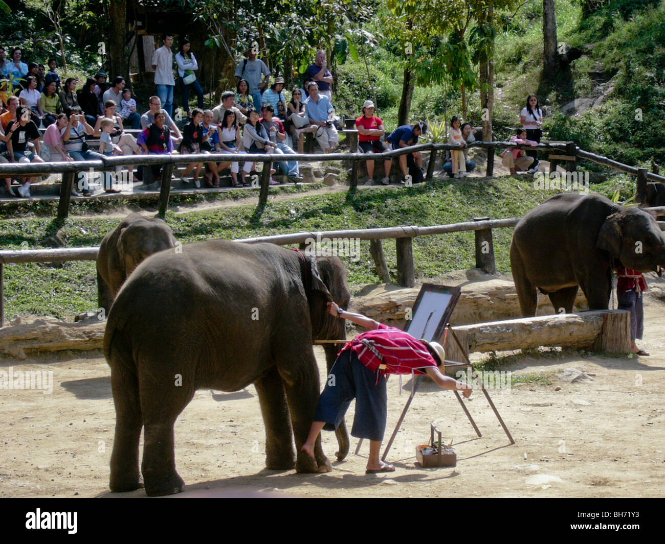 Spiaggia, Thailandia, la folla di turisti a guardare mostra di elefanti addestrati dipinto su tele Foto Stock