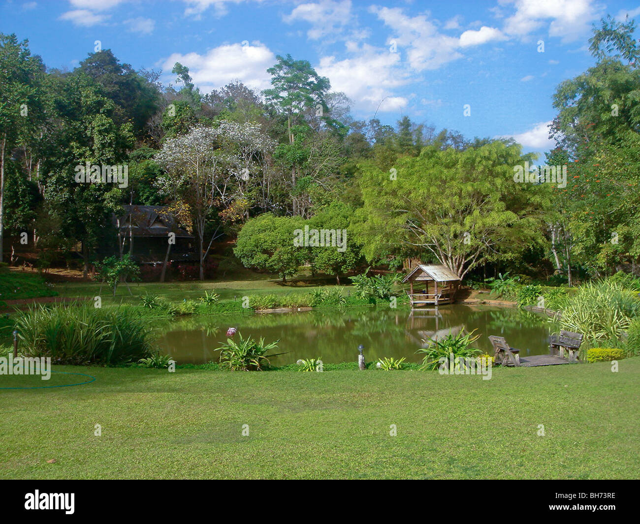 Thailandia, paesaggio nella foresta tropicale, sulle isole Foto Stock