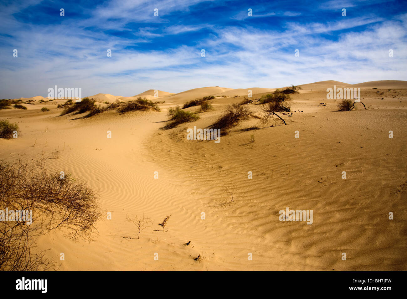 Imperial Valley dune di sabbia, nel sud della California. Queste dune di soffiaggio sono azionati dal vento creando dei picchi e delle valli Foto Stock