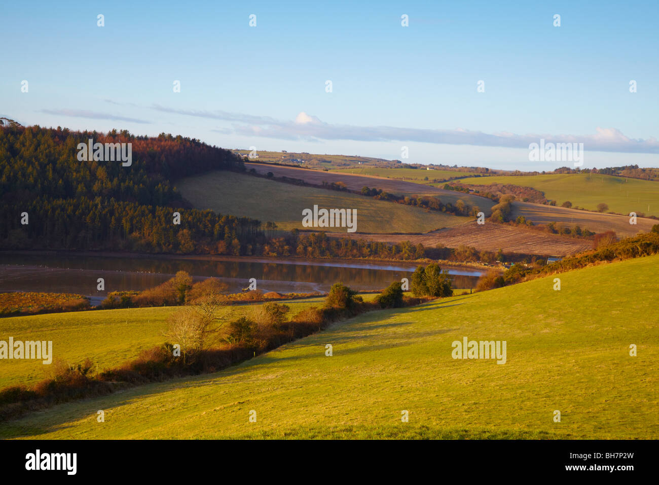 Campi verdi e blu con cieli Bandon fiume che scorre attraverso il sughero paesaggio vicino Bandon, Co.Cork, Irlanda Foto Stock