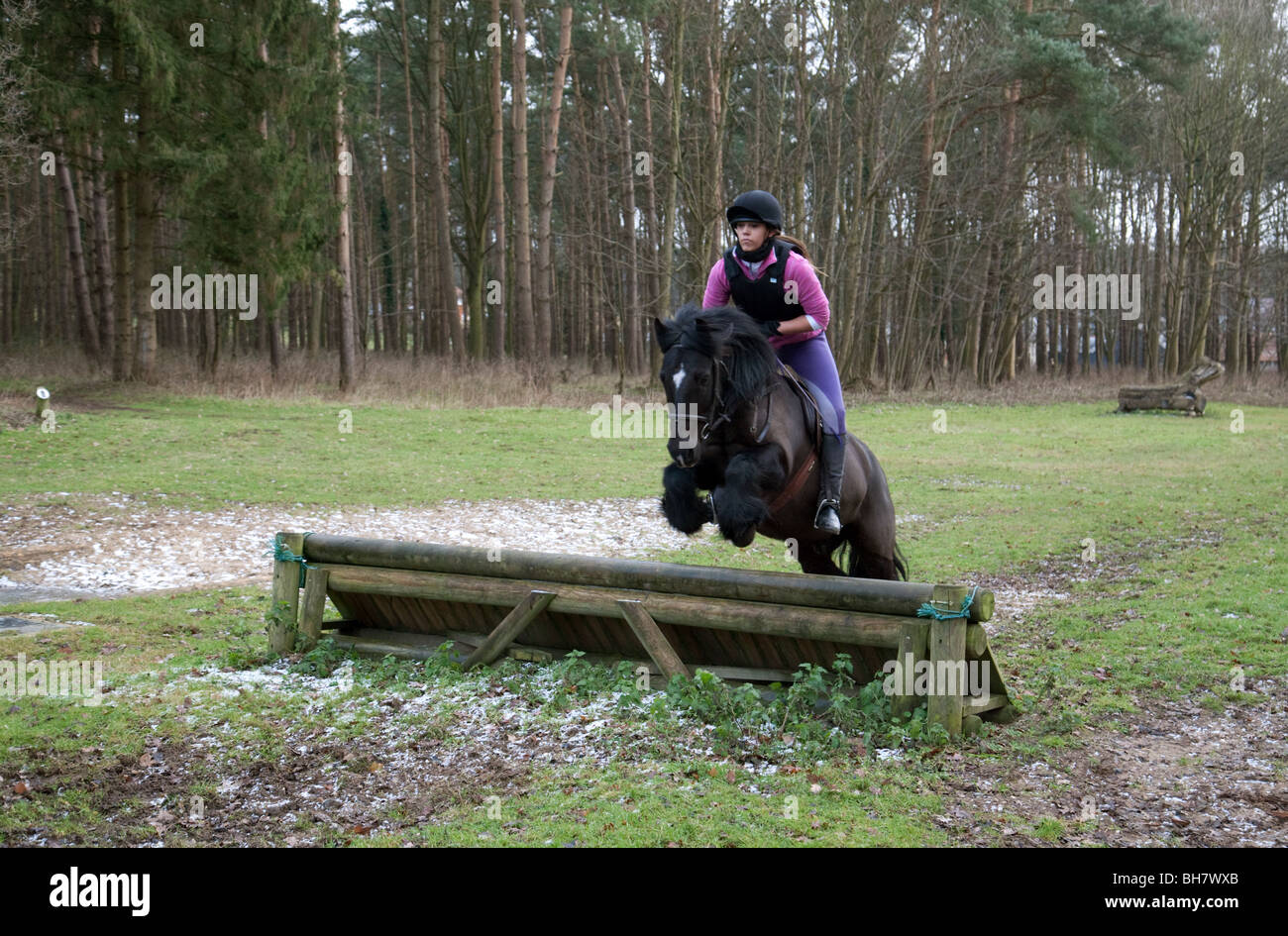 Una ragazza e il suo cavallo salta da un recinto, Elveden station wagon, Thetford Forest NORFOLK REGNO UNITO Foto Stock