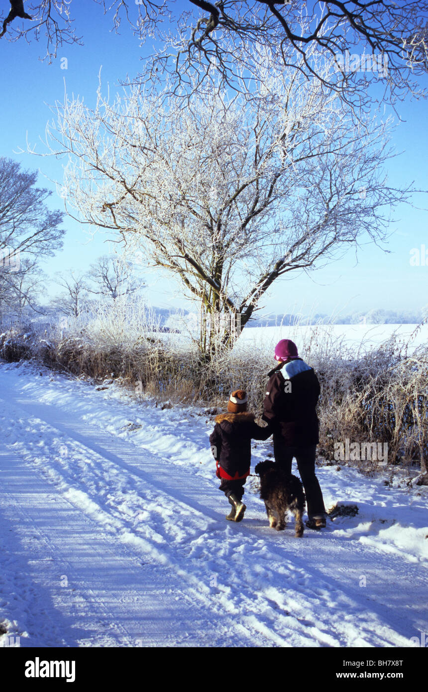 Madre e Figlio cane su un gli inverni a piedi nel Cheshire Foto Stock