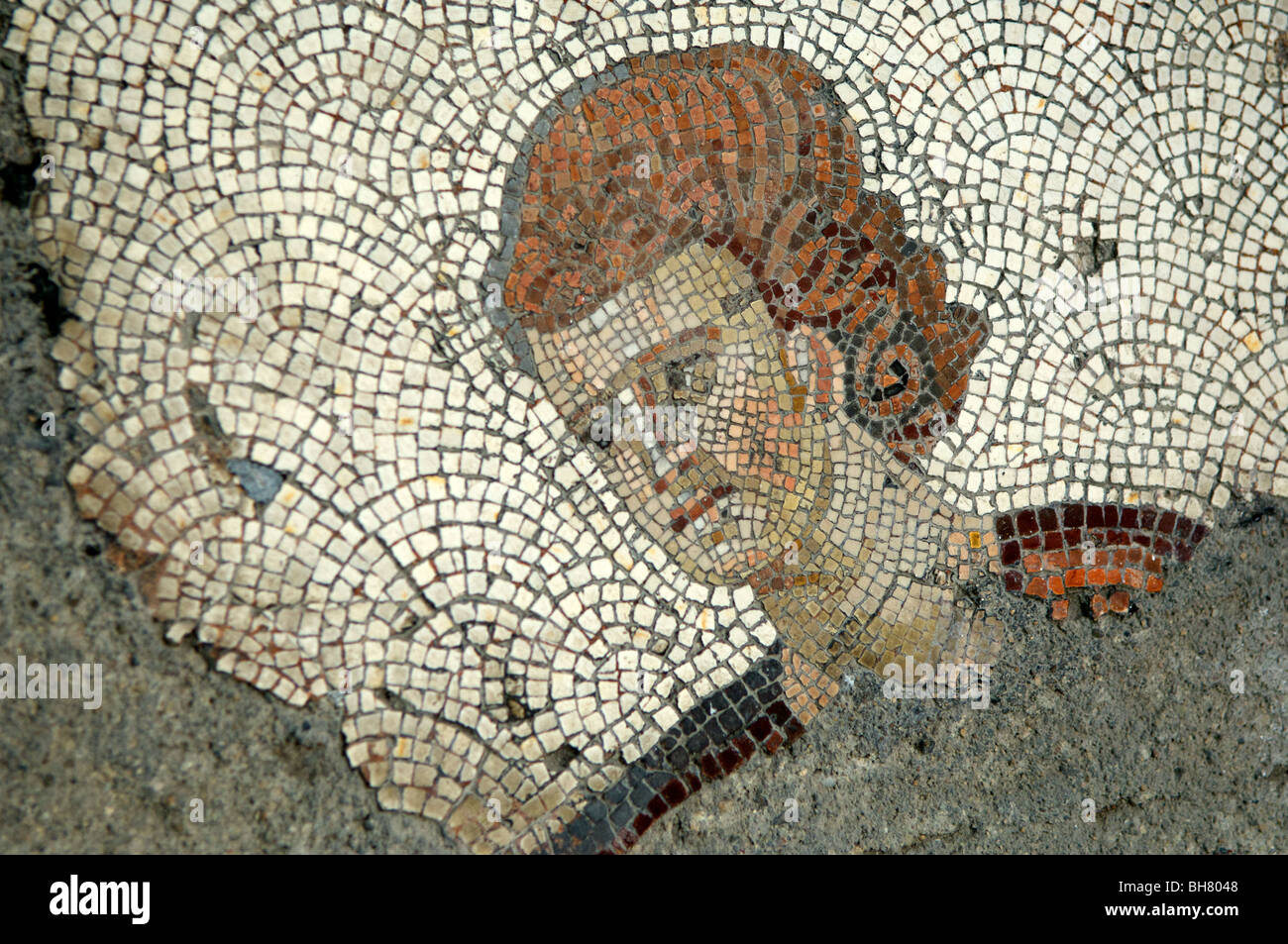Museo dei mosaici, include molte scene di caccia dal grande Palazzo, Istanbul Foto Stock
