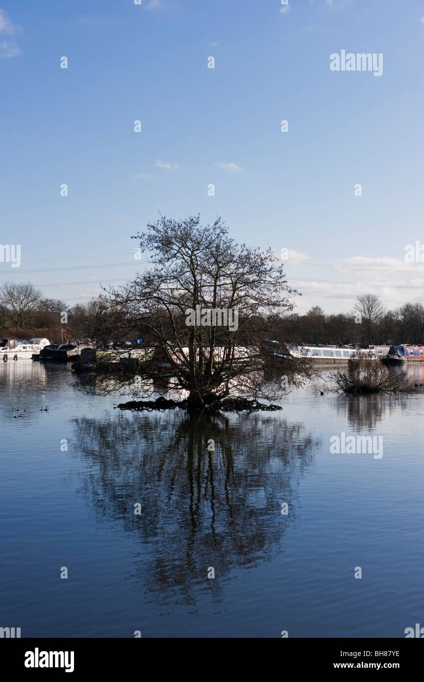 Tree riflessioni in una tranquilla distesa di acqua in una scena invernale, strette barche ormeggiate nella distanza Foto Stock
