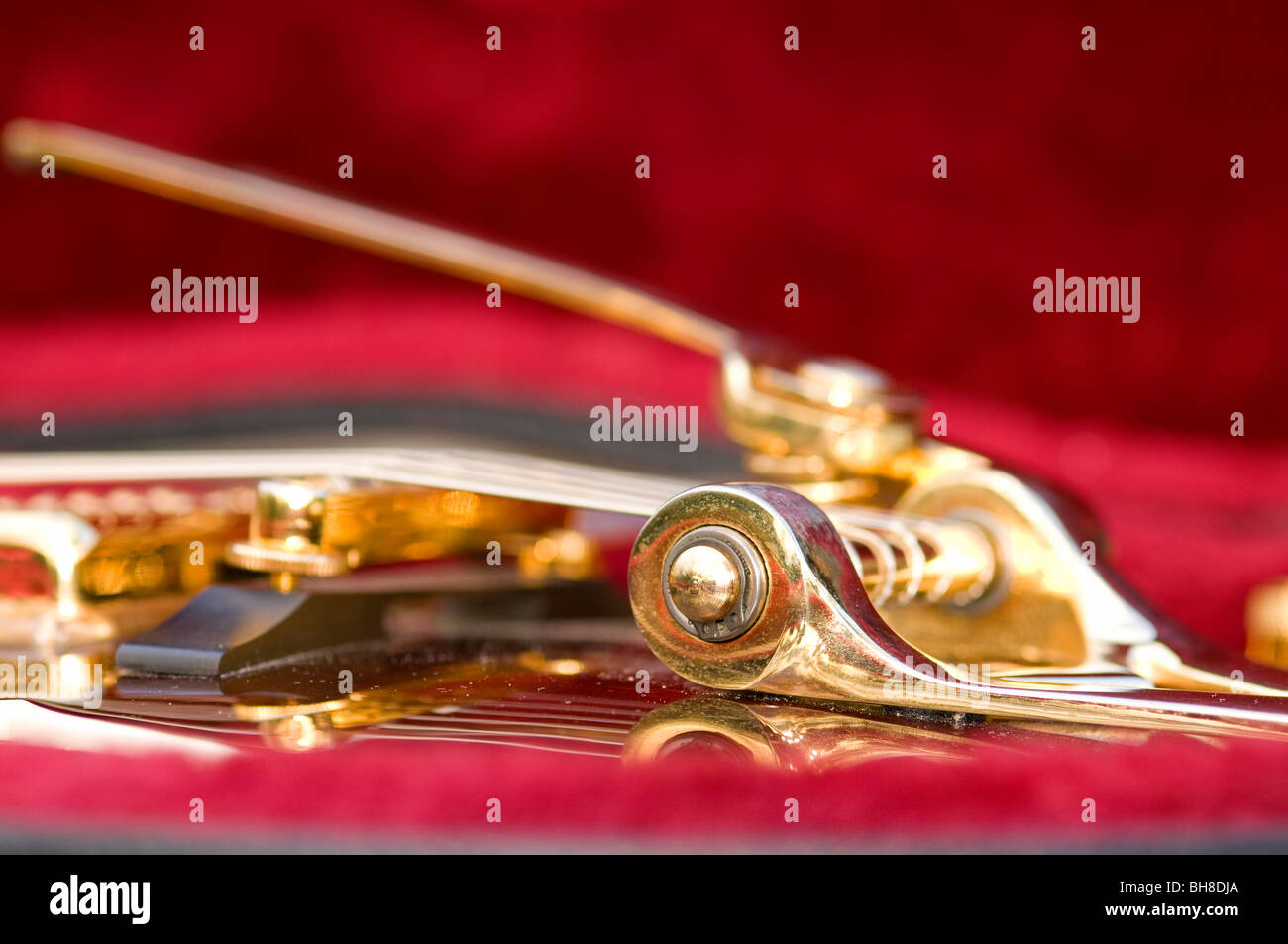 Close up dettaglio di una chitarra elettrica (Gretsch). Mostra anche il fissaggio del braccio del tremolo. Una profondità di campo limitata. Foto Stock