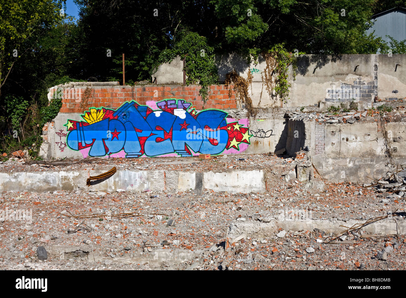 A Cusset, graffiti in una massa di rifiuti (Allier - Francia). Graffiti dans un terreno vago, à Cusset (Allier - Francia). Foto Stock