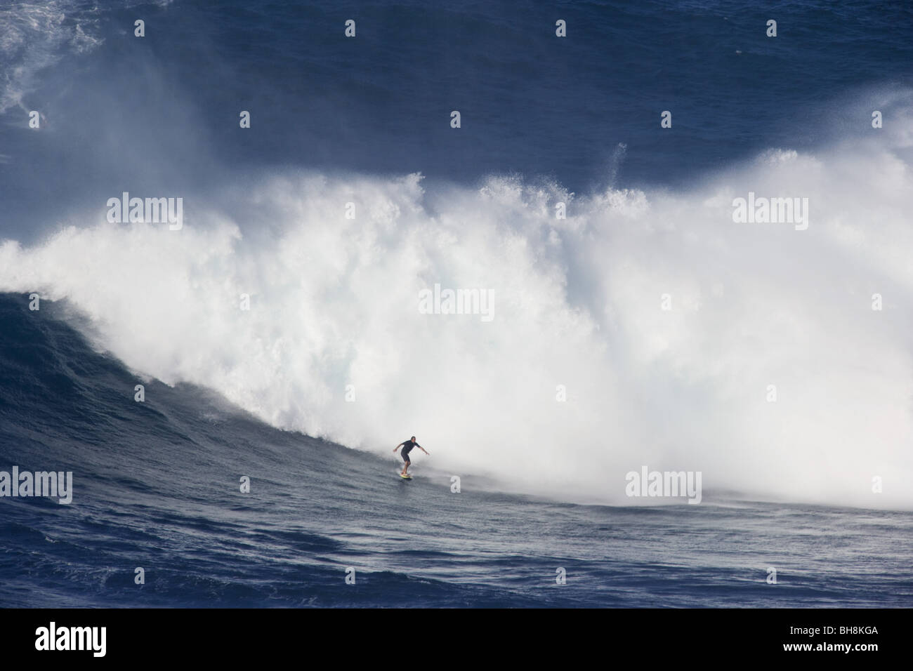 Navigazione a ganasce; Maui , Hawaii Foto Stock