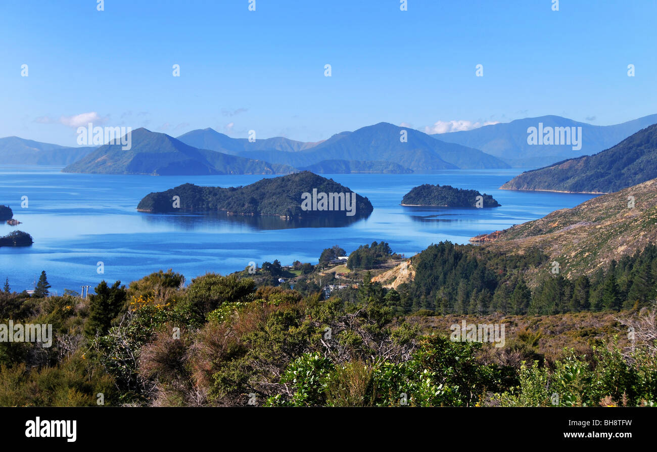 Costa frastagliata di Marlborough Sounds vicino alla baia di francese e di Nelson, Isola del Sud della Nuova Zelanda Foto Stock