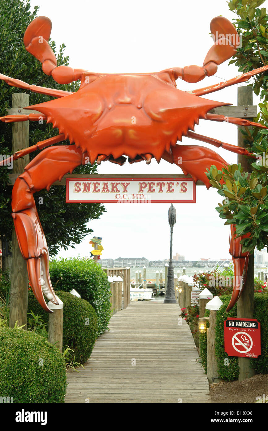 AJD64113, Ocean City, MD, Maryland, Hooper's Crab House, subdolo Pete's Ristorante di Pesce, granchio gigante Foto Stock