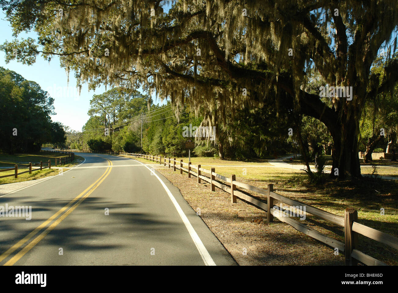 AJD64663, Jekyll Island, GA, Georgia, Golden Isles, road, alberi, muschio Spagnolo Foto Stock