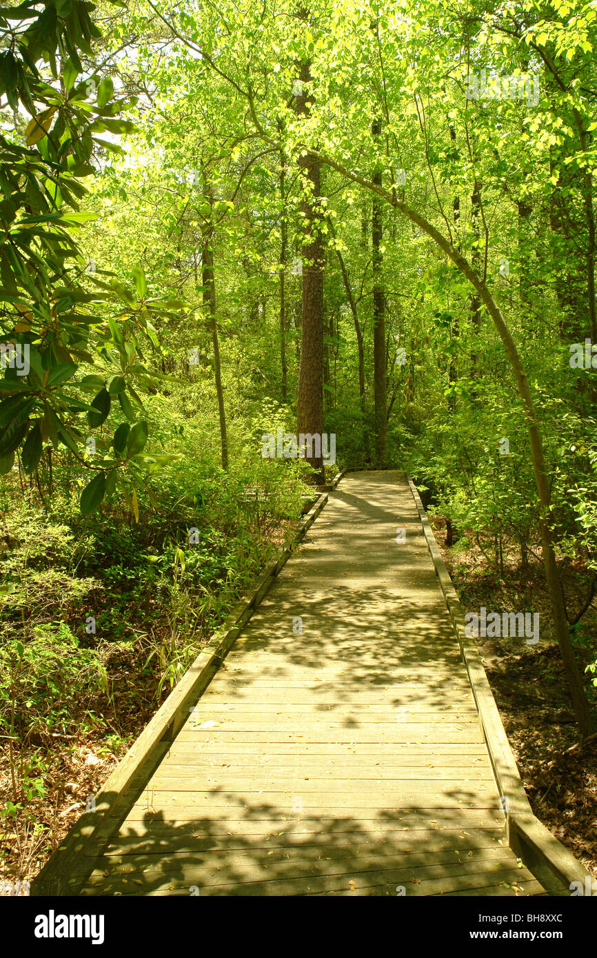 AJD64271, Pinehurst, NC, North Carolina, la Sandhills Giardini orticola Foto Stock