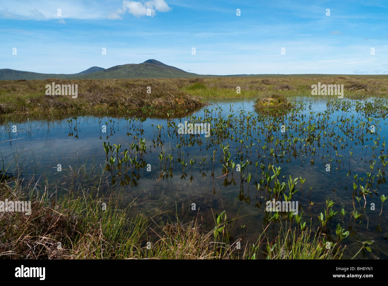 Il Flow Country, Forsinard Foto Stock