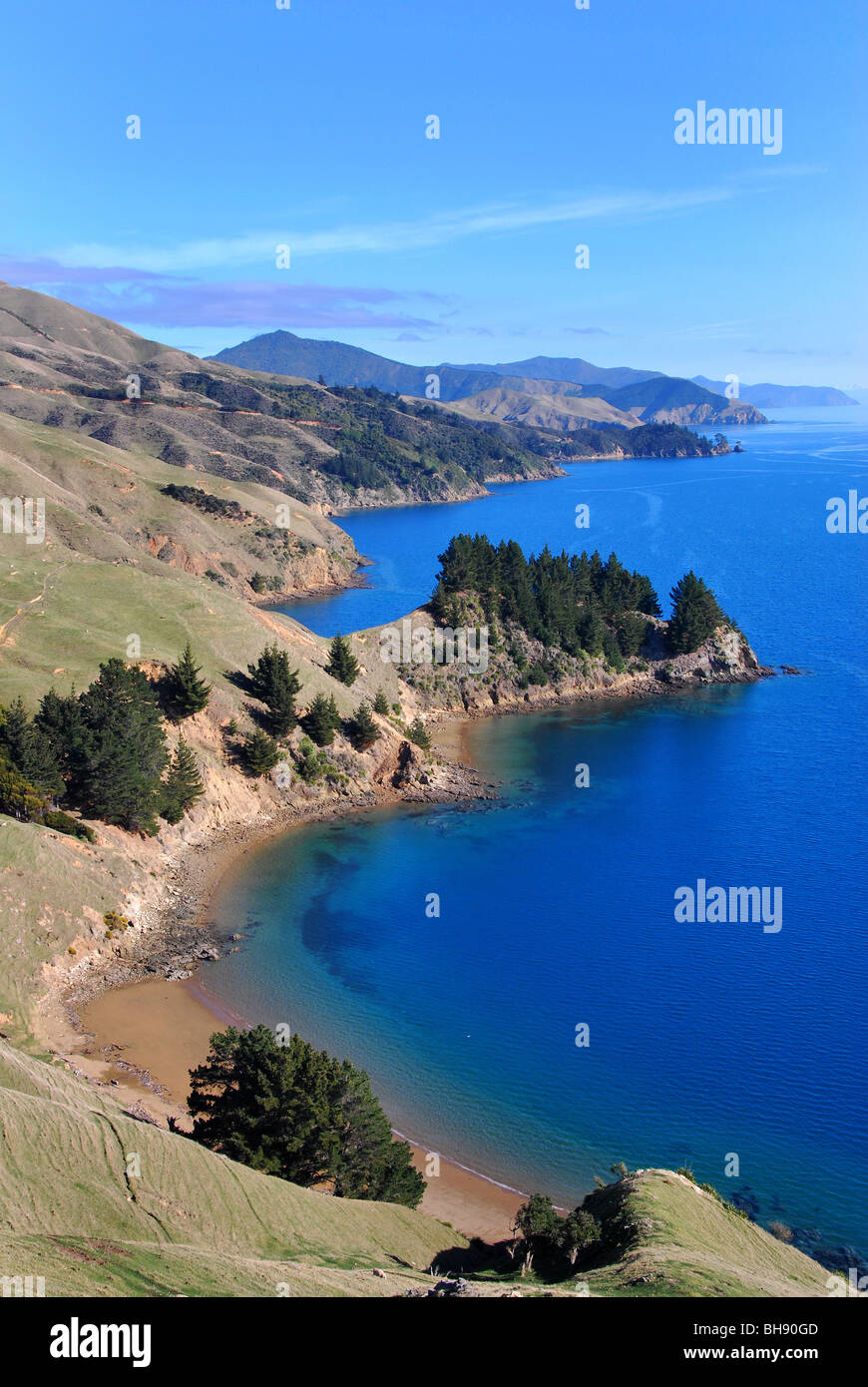 Costa frastagliata di Marlborough Sounds vicino alla baia di francese e di Nelson, Isola del Sud della Nuova Zelanda Foto Stock