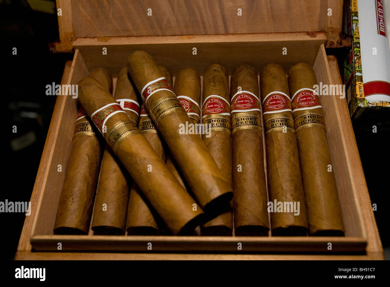 Churchill cubano di sigari, Camagueey, Mar dei Caraibi Cuba Foto Stock