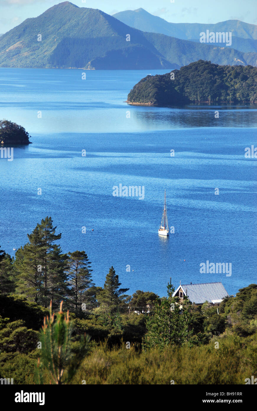 Costa frastagliata di Marlborough Sounds vicino alla baia di francese e di Nelson, Isola del Sud della Nuova Zelanda Foto Stock