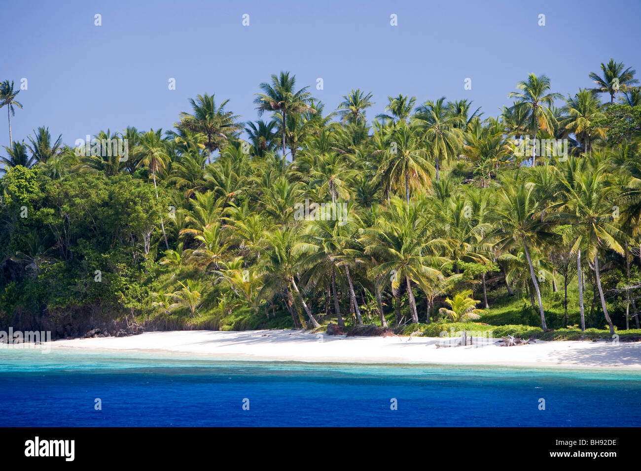 Fiancheggiata da palme spiaggia di Isola Tahulandang, Sangihe-Talaud arcipelago, Sulawesi, Indonesia Foto Stock