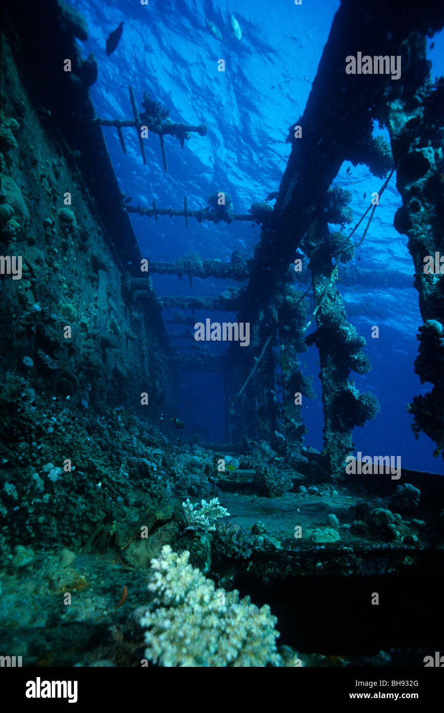 Il corrimano del relitto Umbria, Wingate Reef, Mar Rosso, Sudan Foto Stock