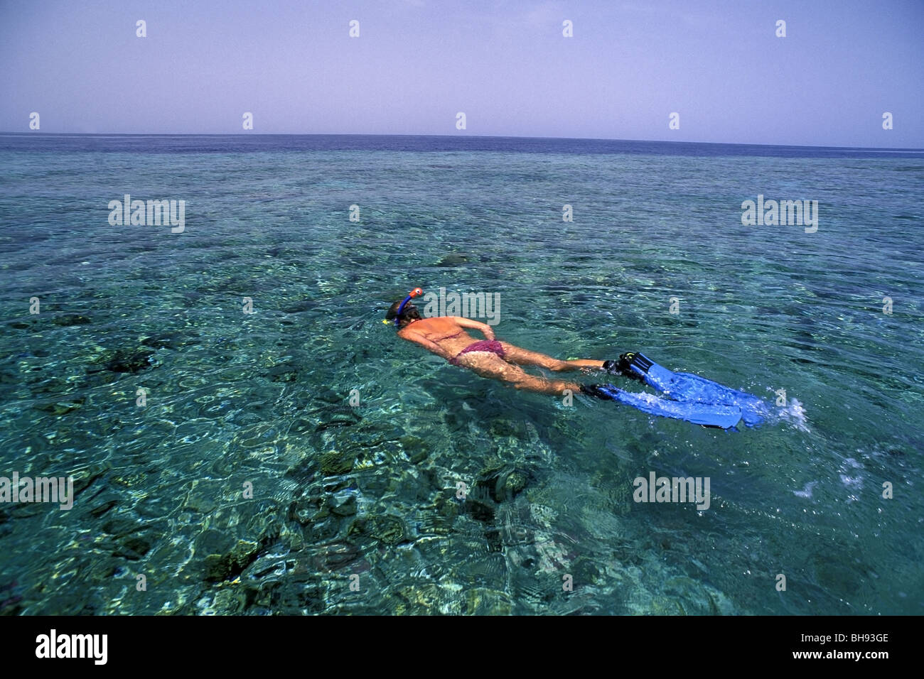 La donna lo snorkeling sulla barriera corallina, Mar Rosso, Arabia Saudita Foto Stock