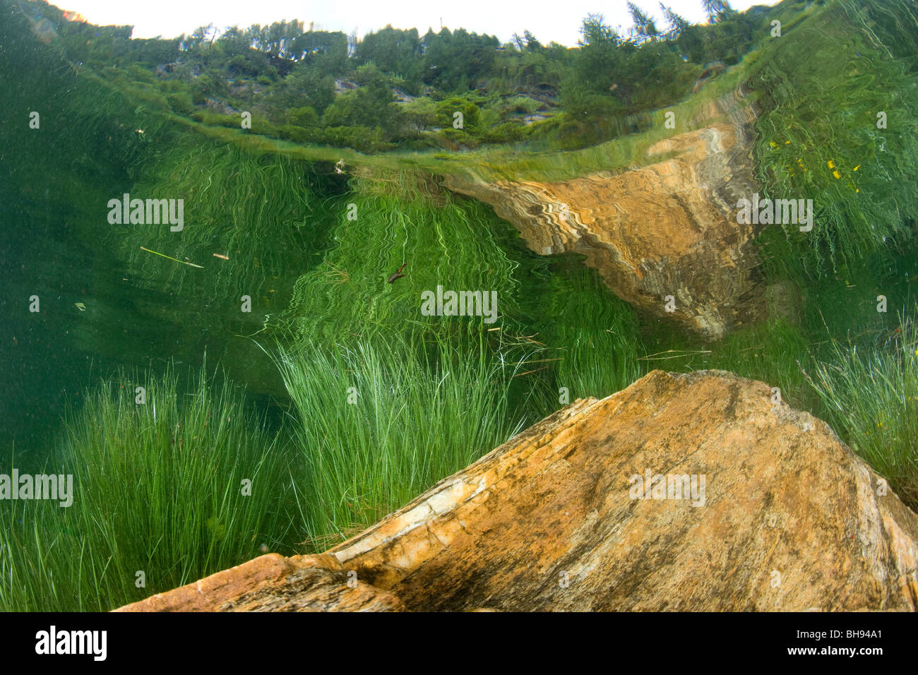 Paesaggio sottomarino del Lago del sambuco, Lavizzara Valley, Ticino , Svizzera Foto Stock