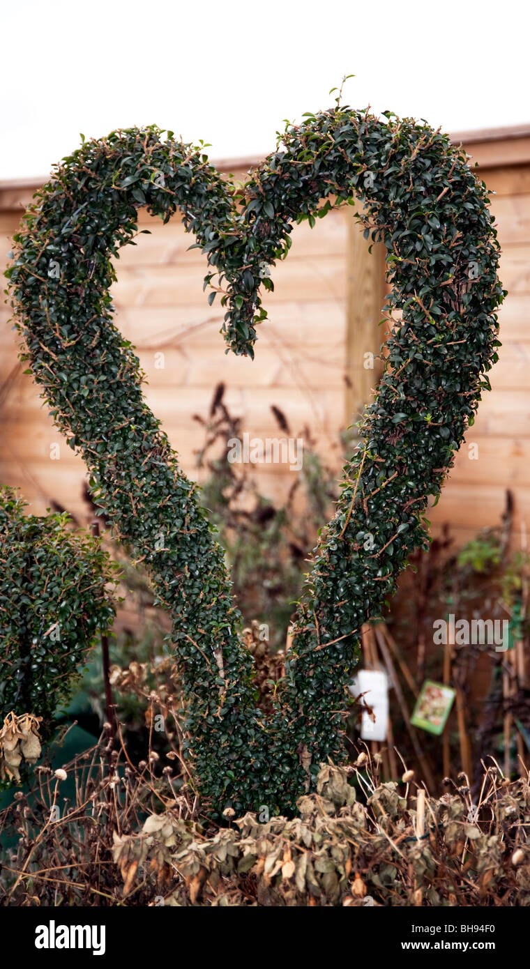 A forma di cuore ad topiaria da Foto Stock