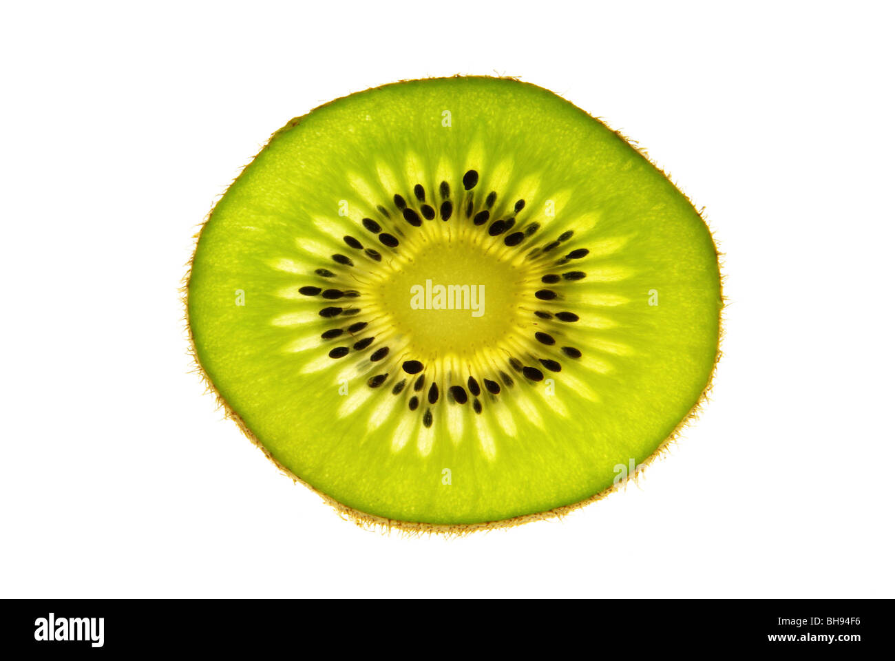 Kiwi 02 Foto Stock