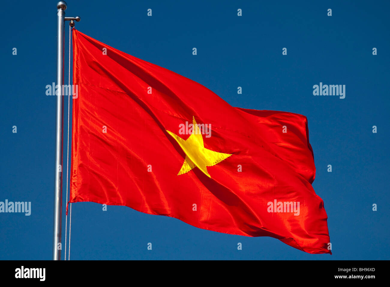 Bandiera del Vietnam Foto Stock